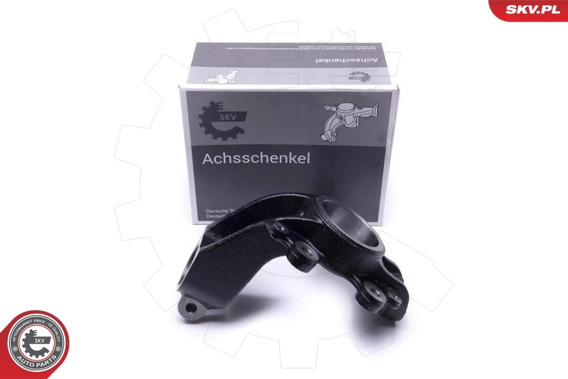 Steering Knuckle, wheel suspension
